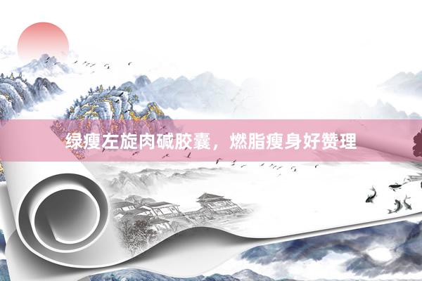 绿瘦左旋肉碱胶囊，燃脂瘦身好赞理
